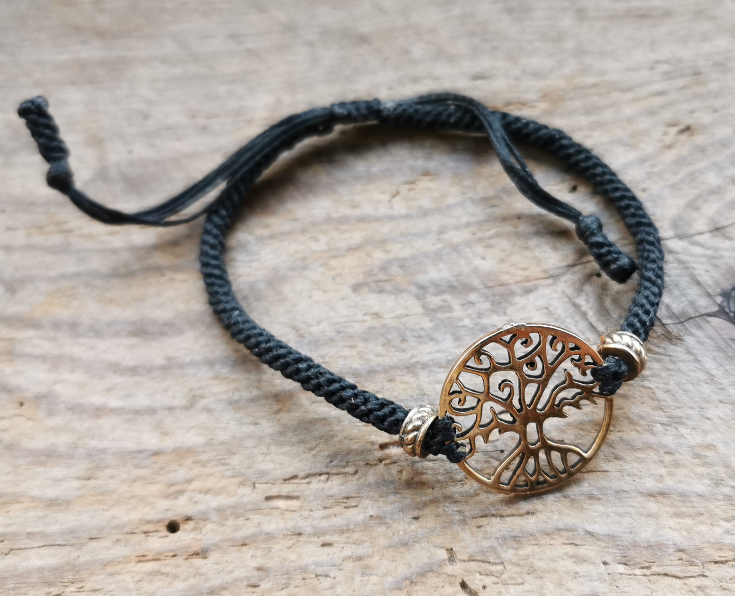 Ref.BR0008 - Tree of Life