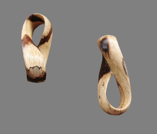 Ref.CR0110 - Möbius strip