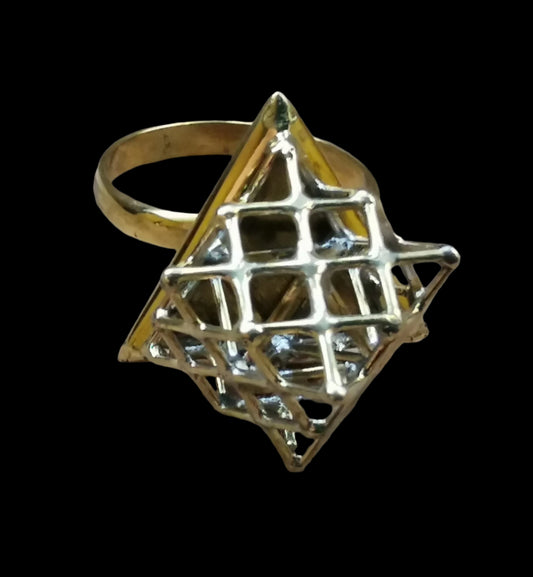 Ref.RG0097 - 3D Tantric Terra Prana