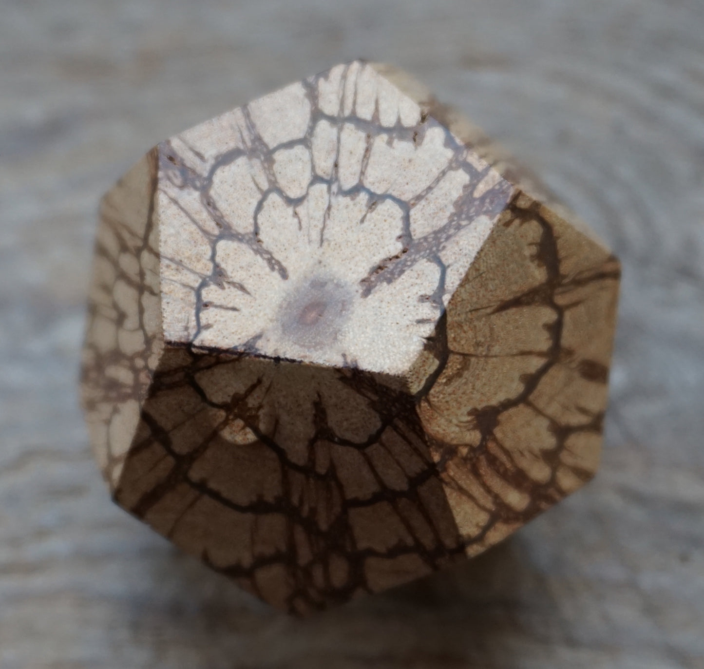 Ref.SZ0053 - Platonic solids