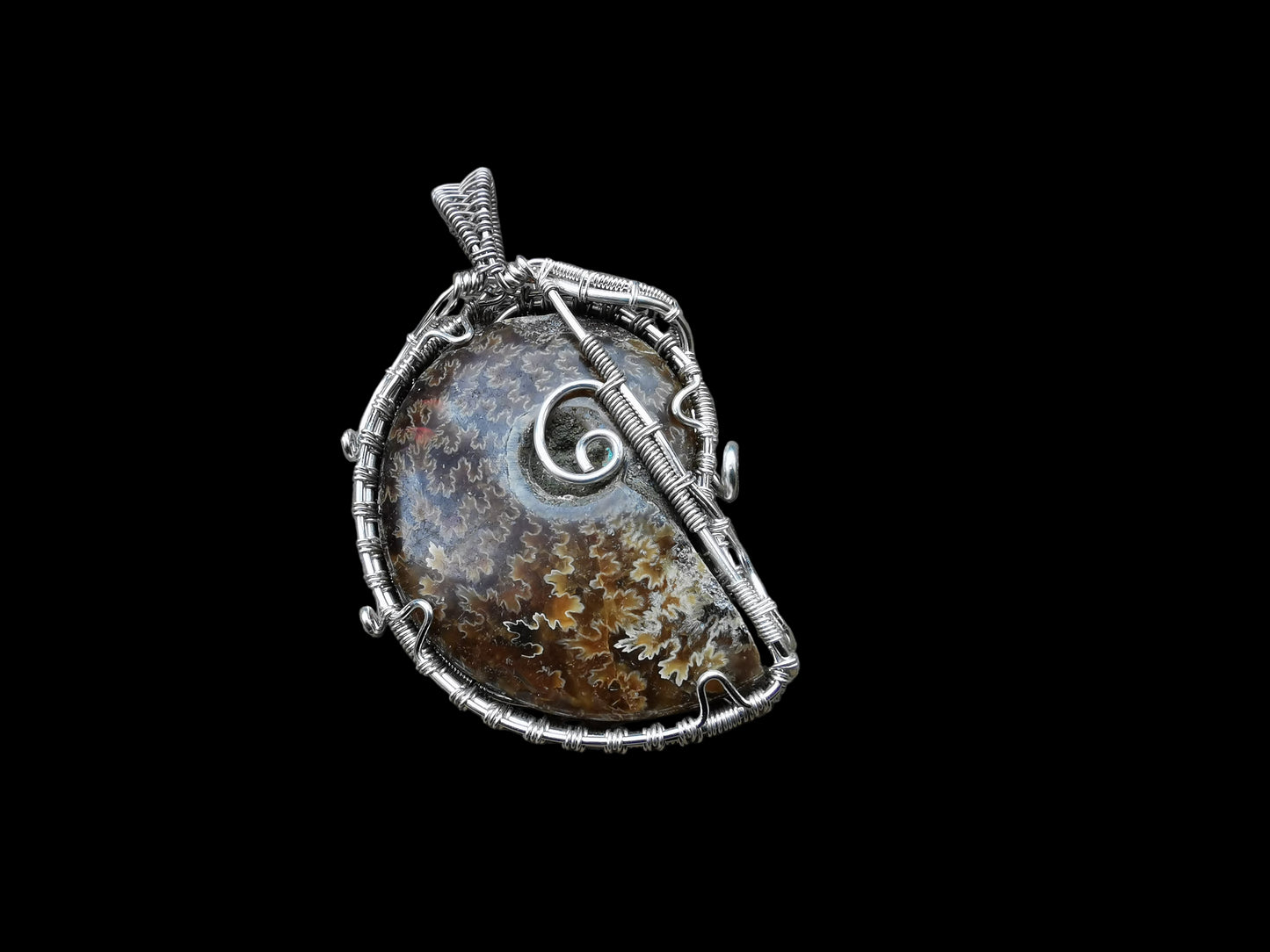 Ref.WW0001 - Polished amonite