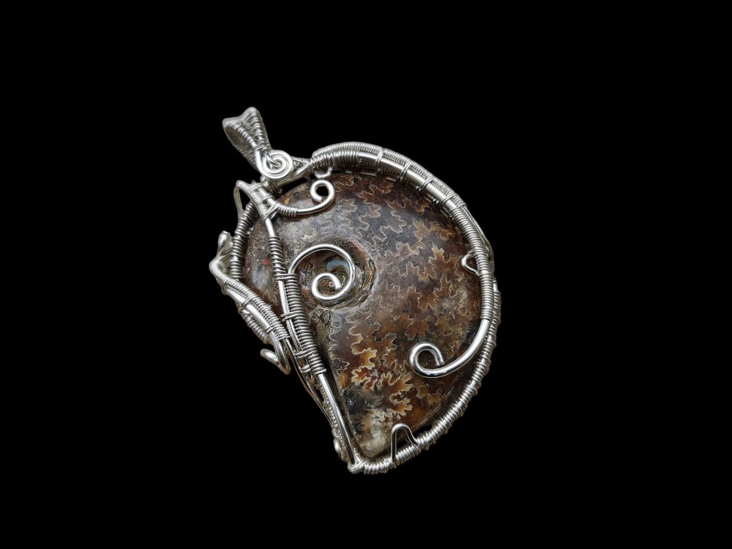 Ref.WW0001 - Polished amonite