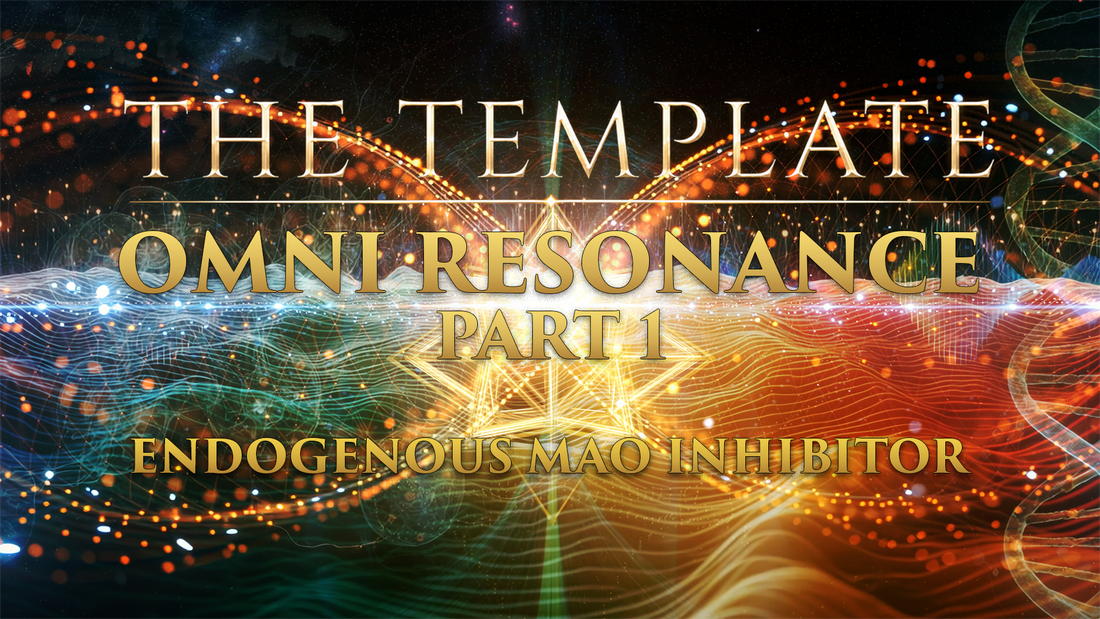 OMNI RESONANCE CODE