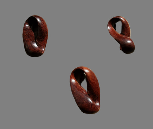 Ref.CR0109 - Möbius strip