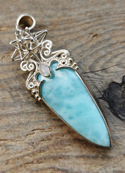 Ref.PD0663