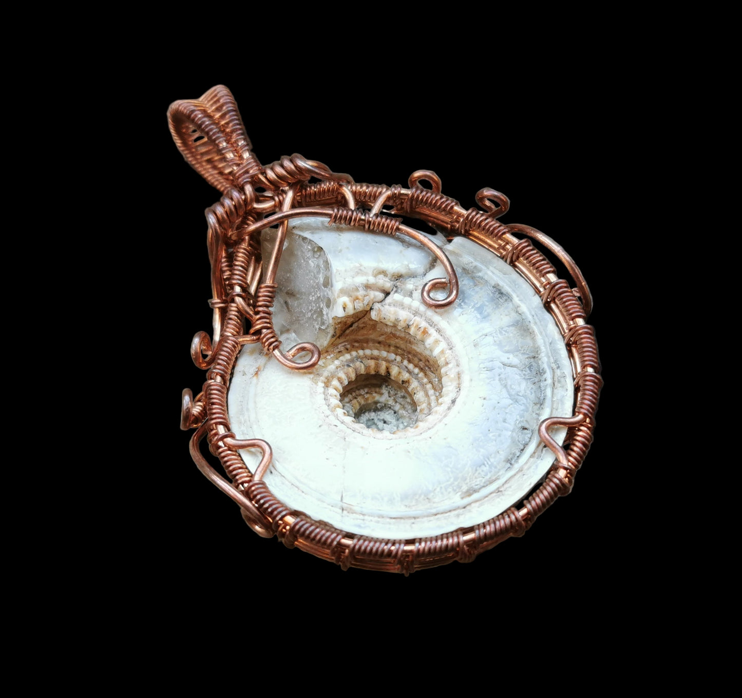Ref.WW0118 - Sundial shell