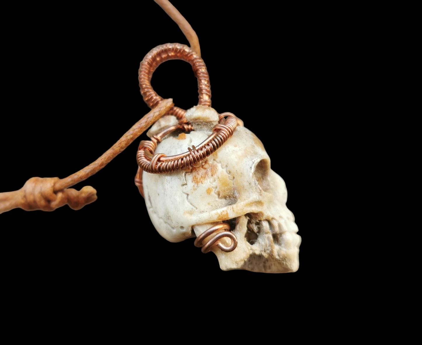 Ref.WW0140 - Human skull