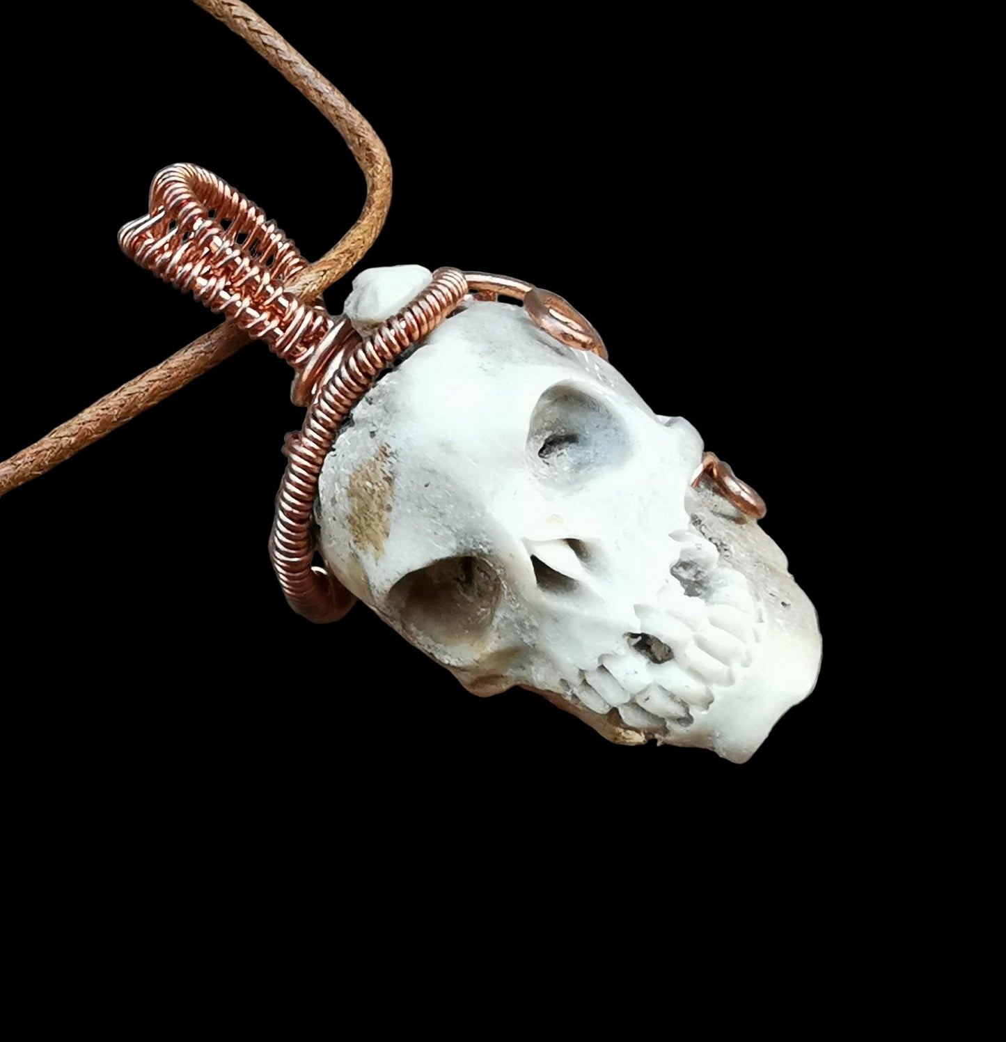 Ref.WW0140 - Human skull