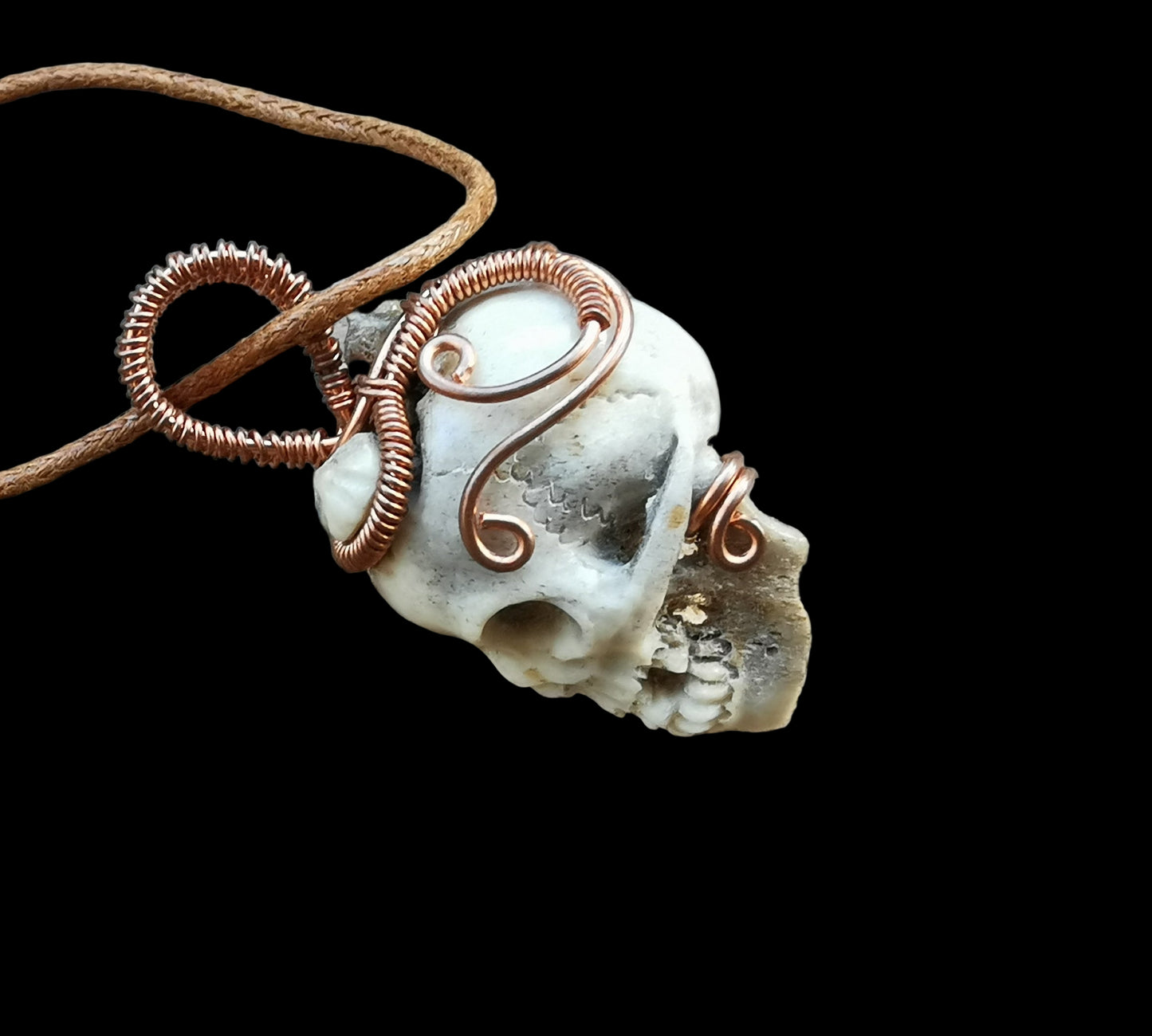 Ref.WW0140 - Human skull