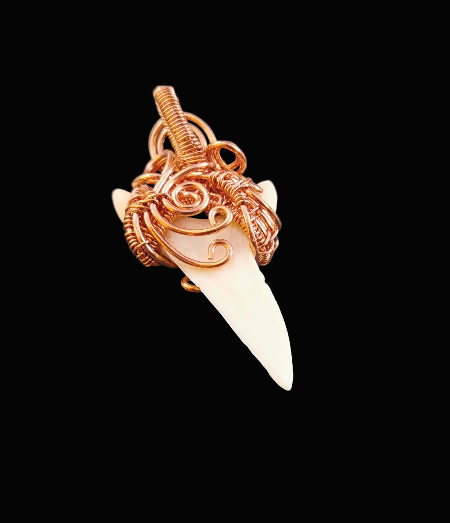 Ref.WW0170 - Shark tooth