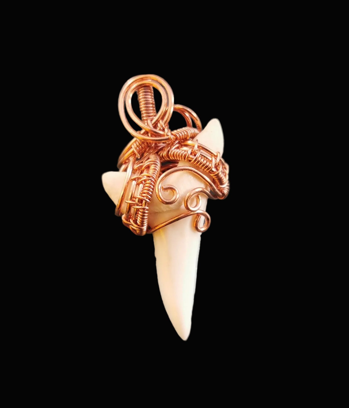 Ref.WW0170 - Shark tooth